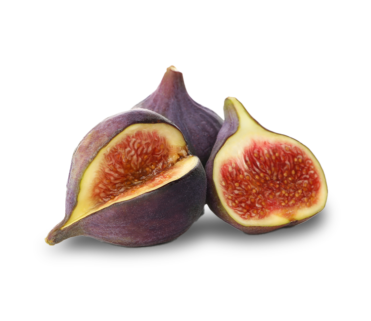 fichi